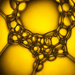Céramides, cholestérol & bêta-glucane
